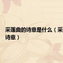 采莲曲的诗意是什么(采莲曲的诗意)
