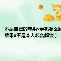 不是自己的苹果x手机怎么解密码（苹果x不是本人怎么解锁）