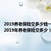 2019养老保险交多少钱一个月(2019年养老保险交多少)