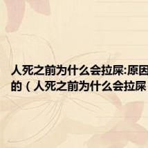 人死之前为什么会拉屎:原因是这样的(人死之前为什么会拉屎)