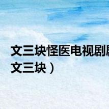 文三块怪医电视剧剧情（文三块）