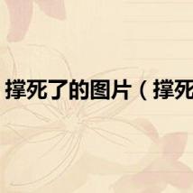 撑死了的图片（撑死了）
