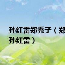 孙红雷郑秃子（郑树森孙红雷）