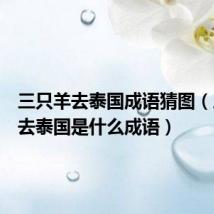 三只羊去泰国成语猜图（三头羊去泰国是什么成语）