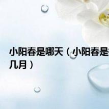 小阳春是哪天（小阳春是指农历几月）