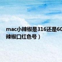mac小辣椒是316还是602(小辣椒口红色号)