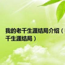 我的老千生涯结局介绍(我的老千生涯结局)