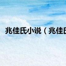 兆佳氏小说（兆佳氏）