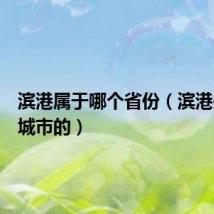 滨港属于哪个省份（滨港是哪个城市的）