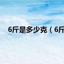 6斤是多少克（6斤）