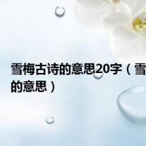 雪梅古诗的意思20字（雪梅古诗的意思）