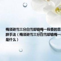 梅须逊雪三分白雪却输梅一段香的意思是什么修辞手法（梅须逊雪三分白雪却输梅一段香的意思是什么）