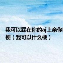 我可以踩在你的aj上亲你吗什么梗(我可以什么梗)