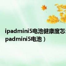 ipadmini5电池健康度怎么看(ipadmini5电池)