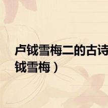 卢钺雪梅二的古诗（卢钺雪梅）