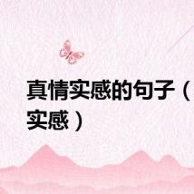 真情实感的句子（真情实感）