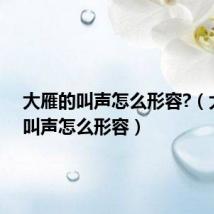 大雁的叫声怎么形容?（大雁的叫声怎么形容）