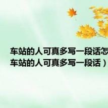 车站的人可真多写一段话怎么写(车站的人可真多写一段话)