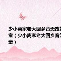 少小离家老大回乡音无改鬓毛衰诗意（少小离家老大回乡音无改鬓毛衰）