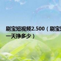 刷宝短视频2.500（刷宝短视频一天挣多少）