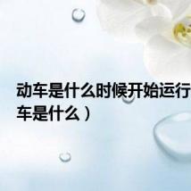 动车是什么时候开始运行的(动车是什么)