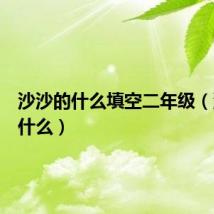 沙沙的什么填空二年级(沙沙的什么)