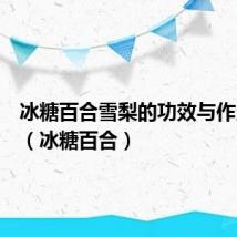 冰糖百合雪梨的功效与作用禁忌(冰糖百合)