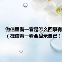 微信里看一看是怎么回事有隐私吗（微信看一看会显示自己）
