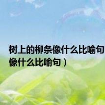 树上的柳条像什么比喻句(柳条像什么比喻句)