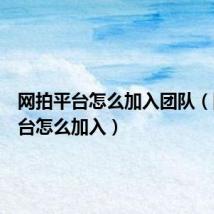 网拍平台怎么加入团队(网拍平台怎么加入)