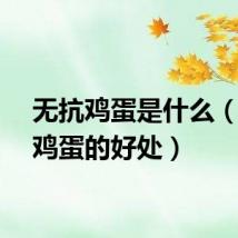无抗鸡蛋是什么（无抗鸡蛋的好处）