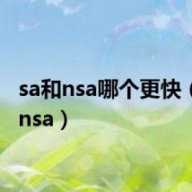 sa和nsa哪个更快（sa和nsa）