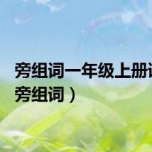 旁组词一年级上册语文（旁组词）