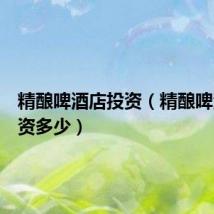 精酿啤酒店投资(精酿啤酒馆投资多少)