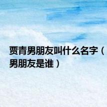 贾青男朋友叫什么名字(贾青的男朋友是谁)