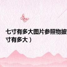 七寸有多大图片参照物披萨（七寸有多大）