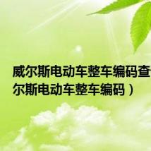 威尔斯电动车整车编码查询(威尔斯电动车整车编码)