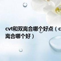 cvt和双离合哪个好点(cvt和双离合哪个好)