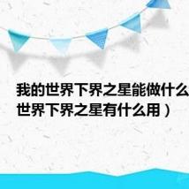 我的世界下界之星能做什么(我的世界下界之星有什么用)