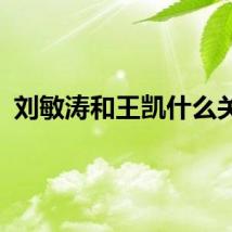 刘敏涛和王凯什么关系