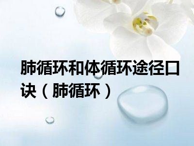 揭秘SHEIN：改变全球时尚的技术革命与供应链变革