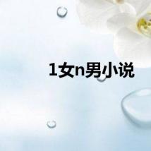 1女n男小说