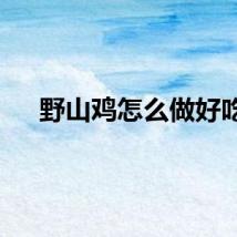 野山鸡怎么做好吃