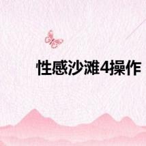 性感沙滩4操作