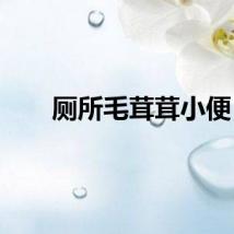 厕所毛茸茸小便