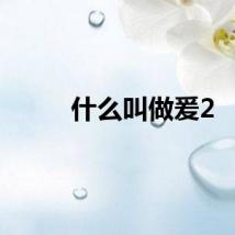 什么叫做爰2