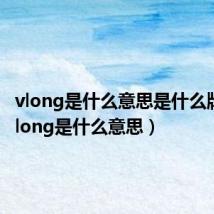 vlong是什么意思是什么牌子（vlong是什么意思）