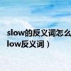 slow的反义词怎么写（slow反义词）