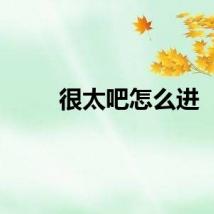 很太吧怎么进