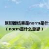 尿胆原结果是norm是什么意思（norm是什么意思）
